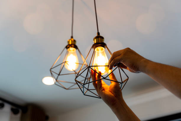 Best Electrical Repair Services  in Herscher, IL