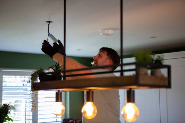 Best Electrician for Home Renovation  in Herscher, IL