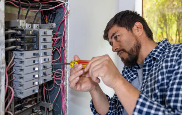 Best Electrical System Inspection  in Herscher, IL